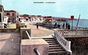 MOSTAGANEM - SALAMANDRE
